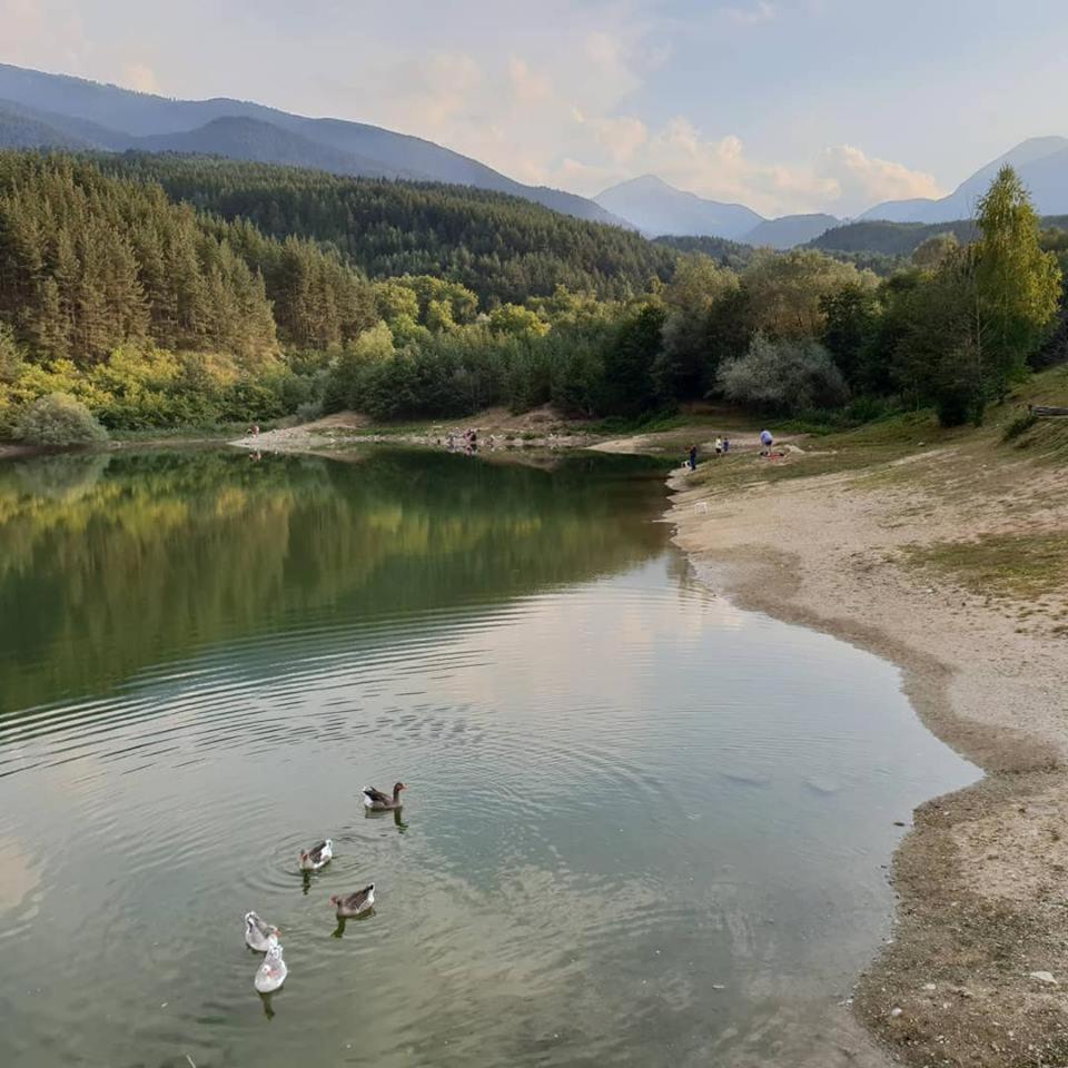 Fortuna Apartments Bansko Exterior photo